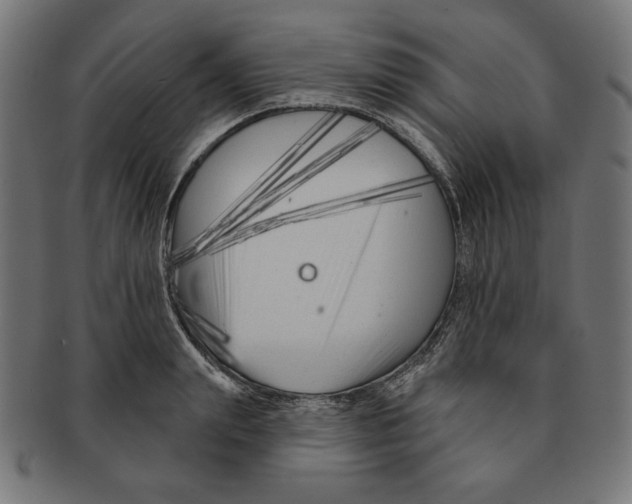 X0000091170847200709060932