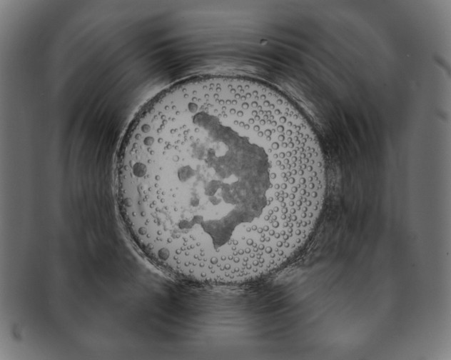 X0000091170848200709060932