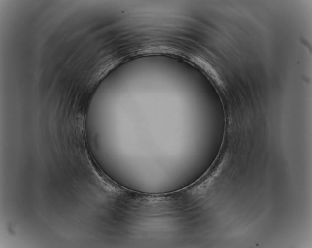 X0000091170849200709060932
