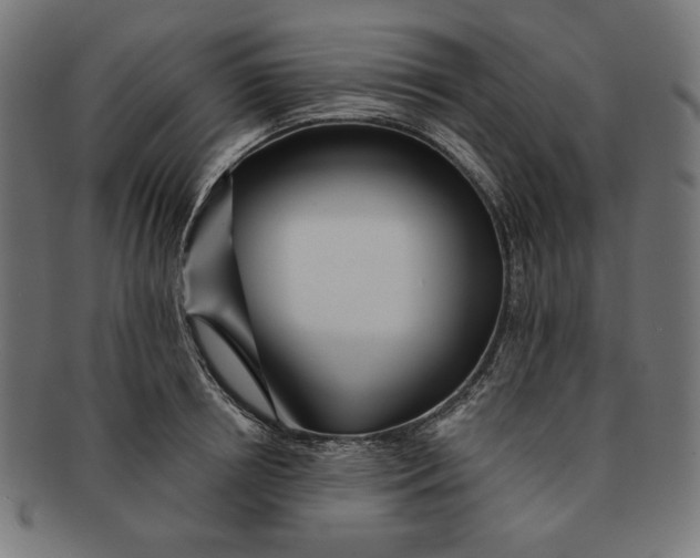 X0000091170850200709060932