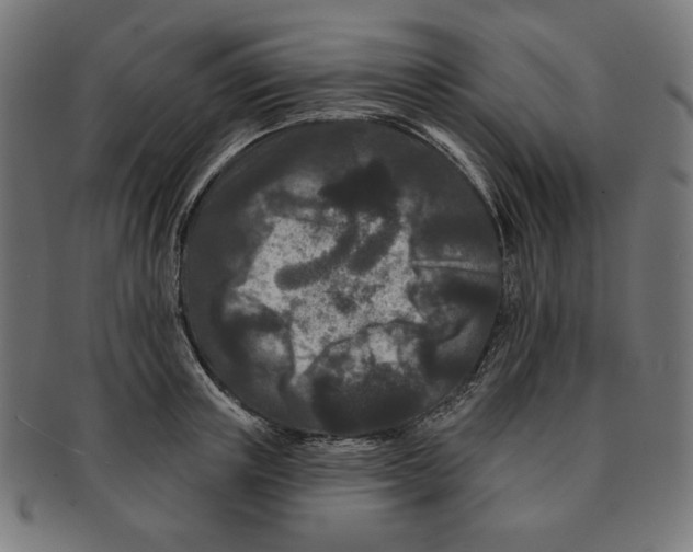 X0000091170851200709060932