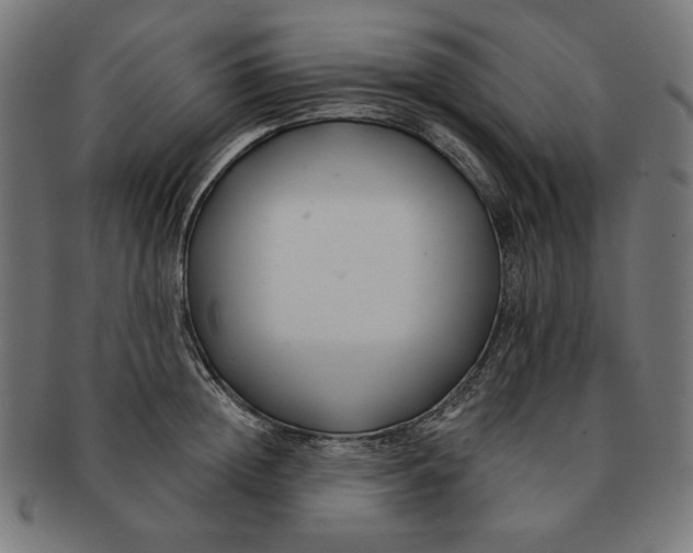 X0000091170852200709060932