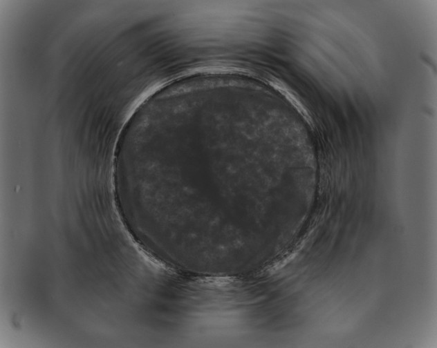 X0000091170853200709060932