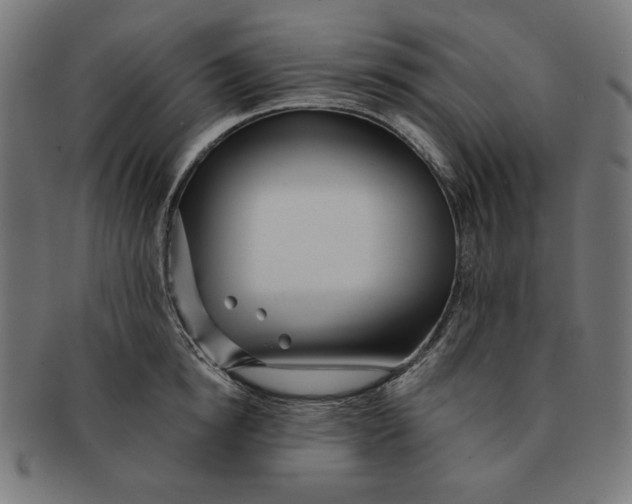 X0000091170854200709060932