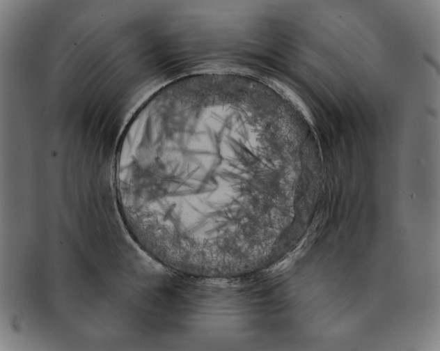 X0000091170855200709060932