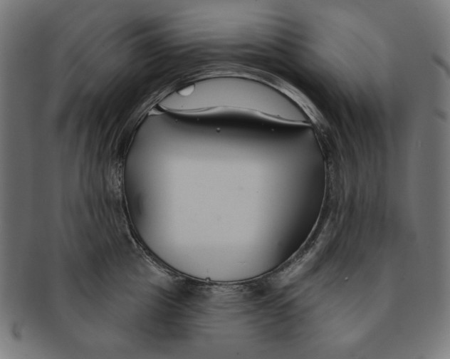 X0000091170857200709060932