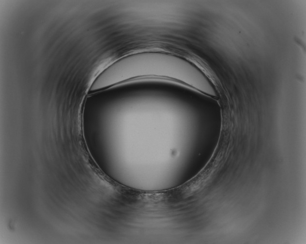 X0000091170858200709060932