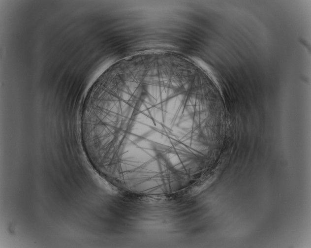 X0000091170859200709060932