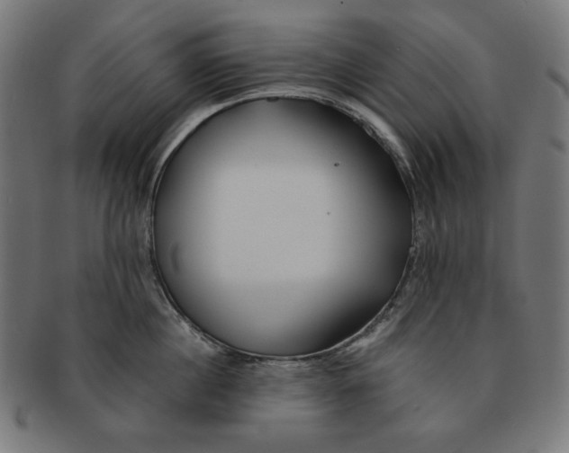 X0000091170860200709060932