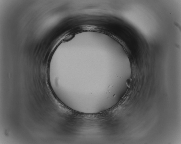 X0000091170861200709060932