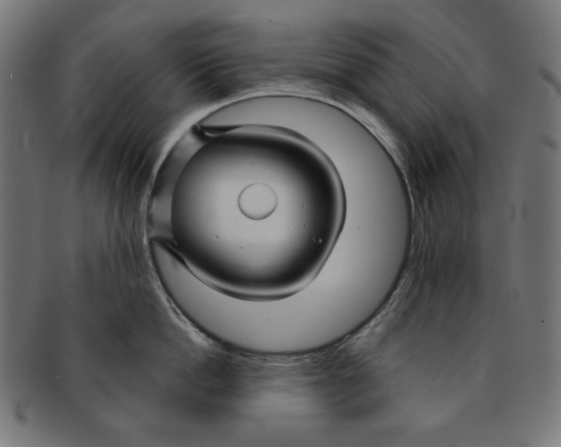 X0000091170862200709060932