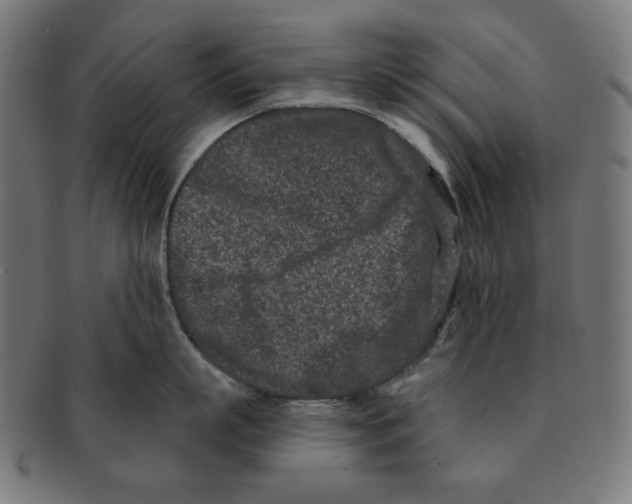 X0000091170863200709060932