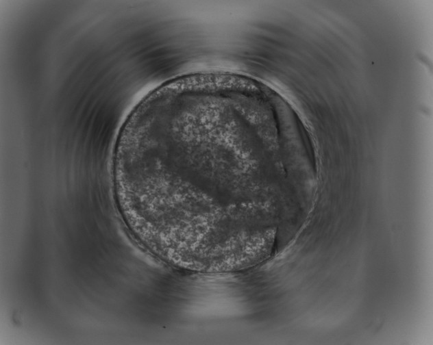 X0000091170864200709060932