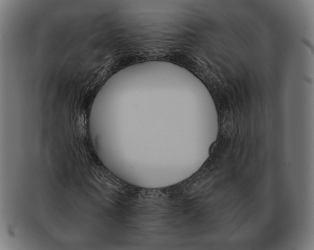 X0000091170866200709060932