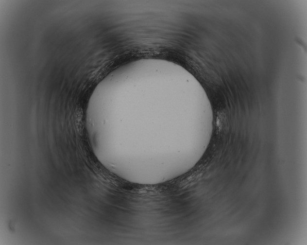 X0000091170867200709060932