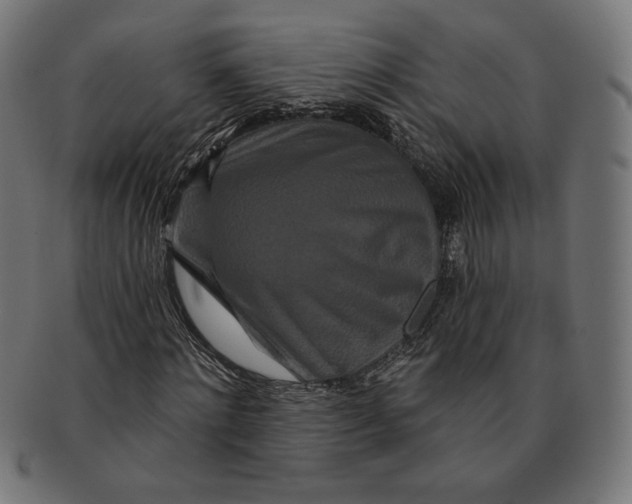 X0000091170868200709060931