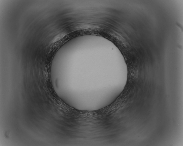 X0000091170869200709060931