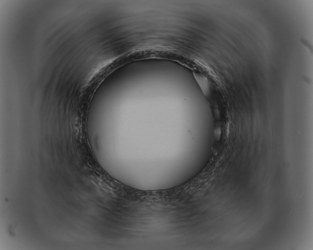 X0000091170872200709060931