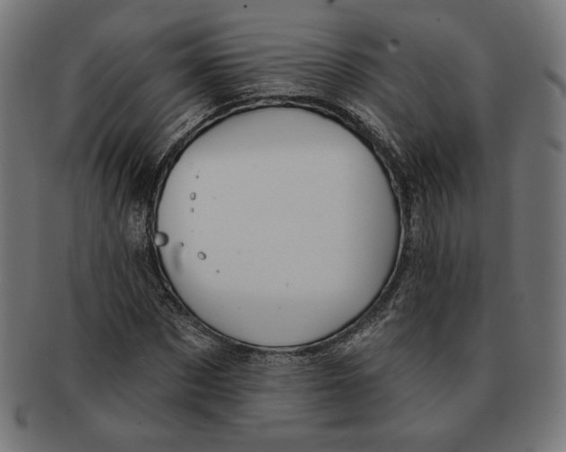 X0000091170873200709060931