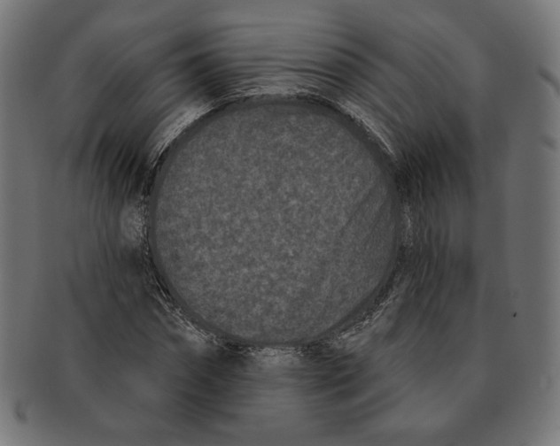 X0000091170874200709060931