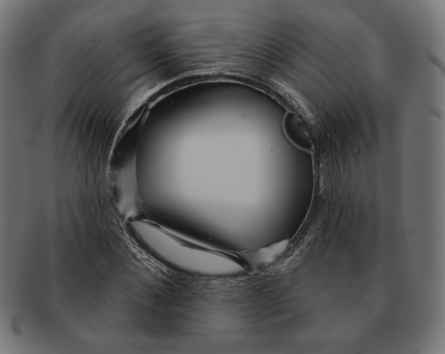 X0000091170876200709060931