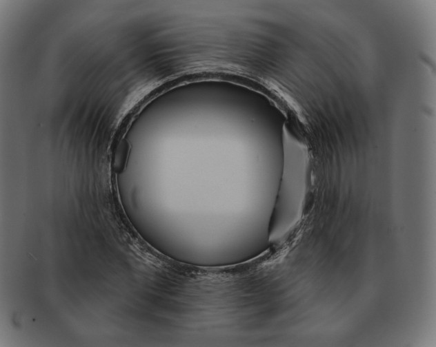 X0000091170877200709060931