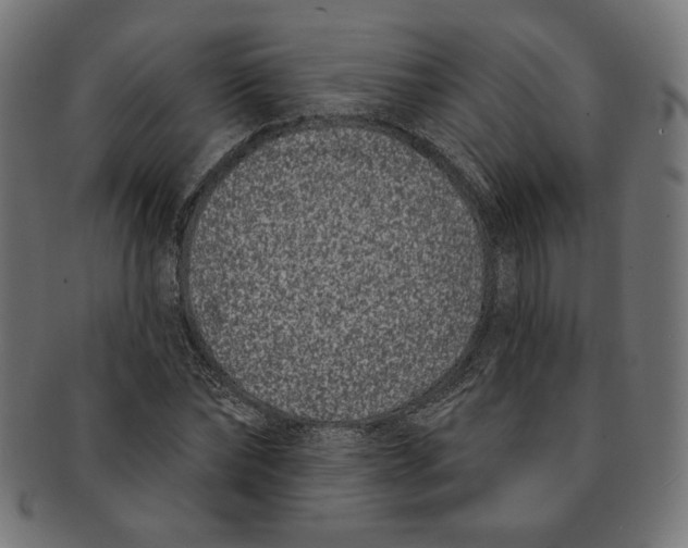 X0000091170878200709060931