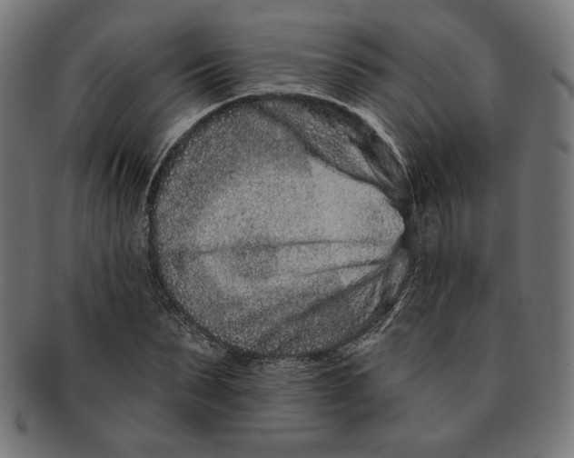 X0000091170879200709060931