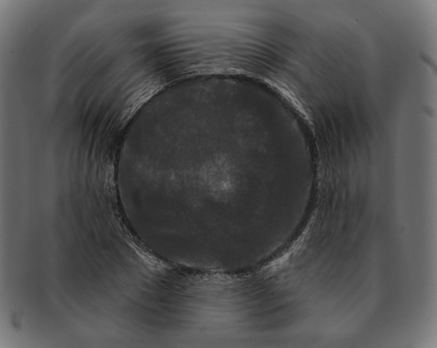 X0000091170881200709060931