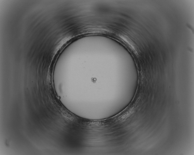 X0000091170883200709060931