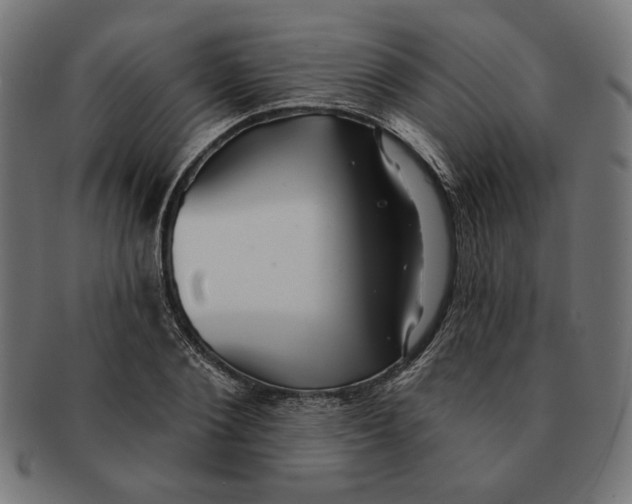 X0000091170884200709060931