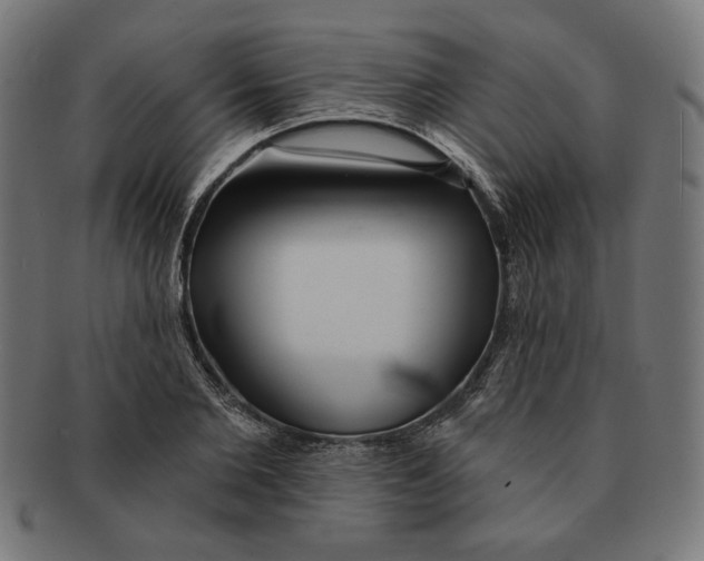 X0000091170885200709060931