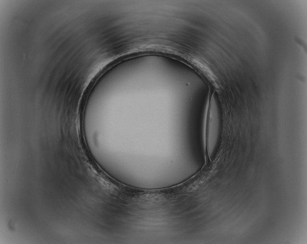 X0000091170888200709060931