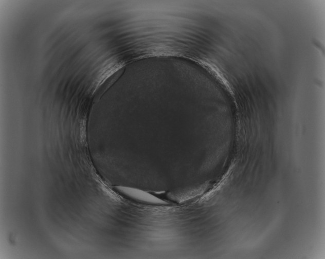 X0000091170889200709060931