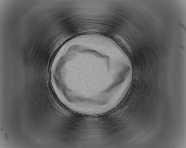 X0000091170890200709060931