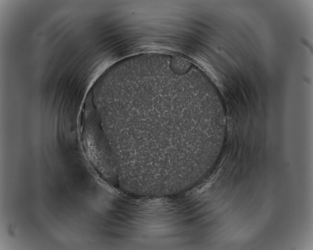 X0000091170891200709060931