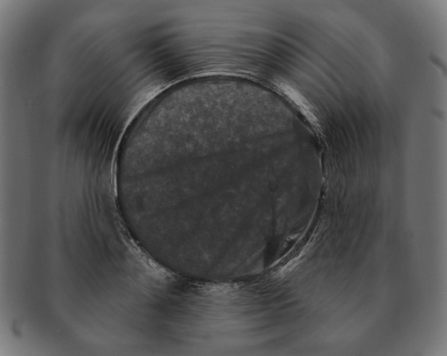 X0000091170892200709060931