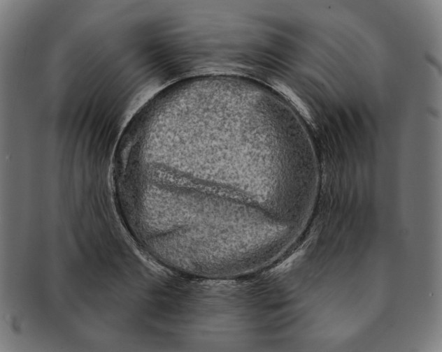 X0000091170893200709060931