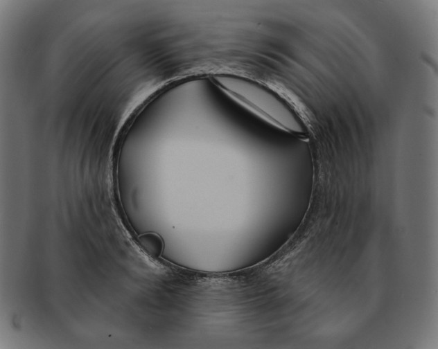 X0000091170894200709060931