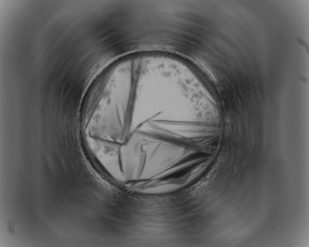 X0000091170895200709060931