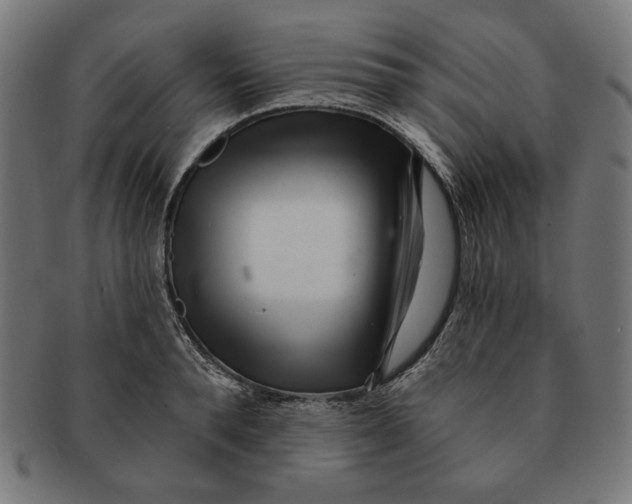 X0000091170896200709060931