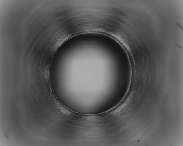 X0000091170897200709060931