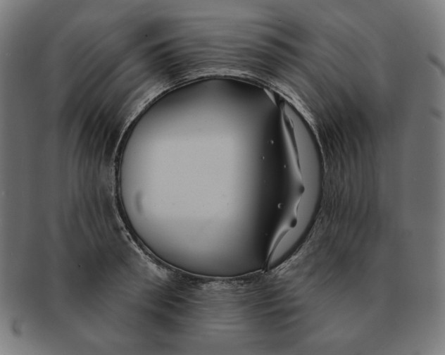 X0000091170898200709060931