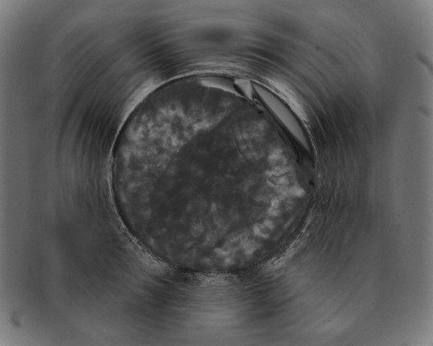 X0000091170899200709060931