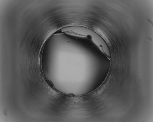 X0000091170900200709060931