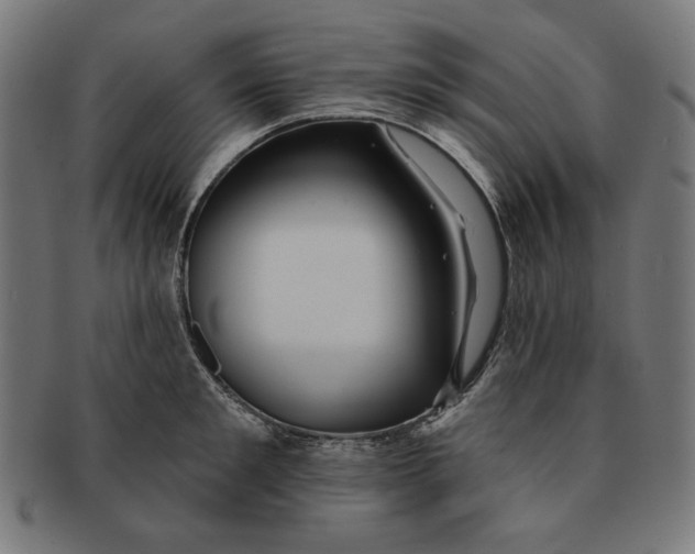 X0000091170901200709060931