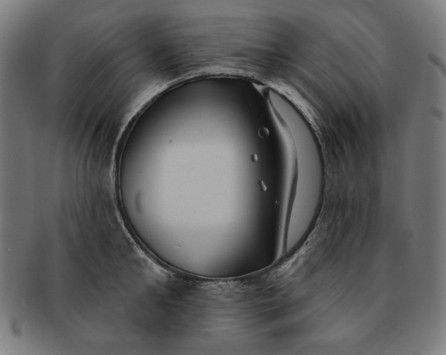 X0000091170902200709060931