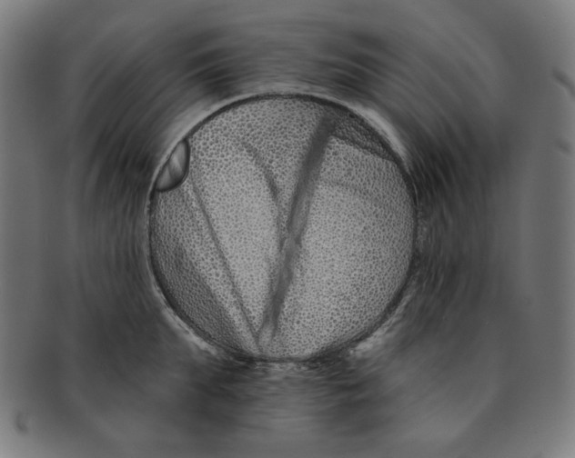 X0000091170903200709060931