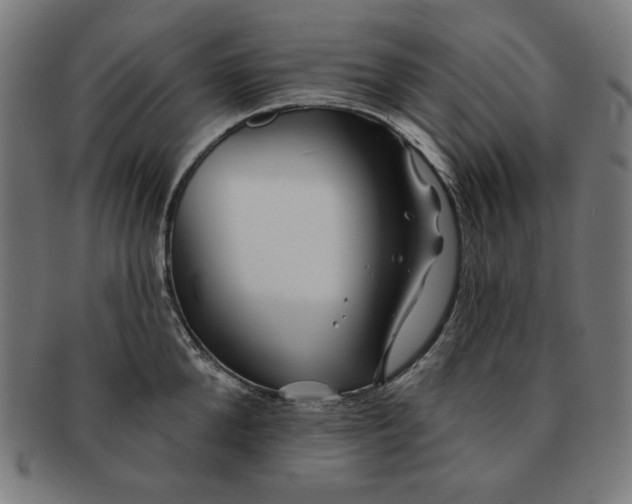 X0000091170904200709060931