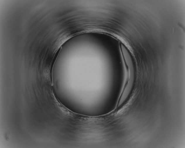 X0000091170905200709060931